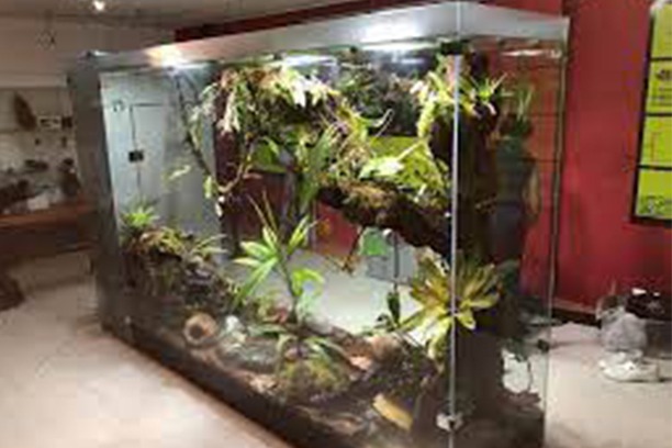 Vivariums